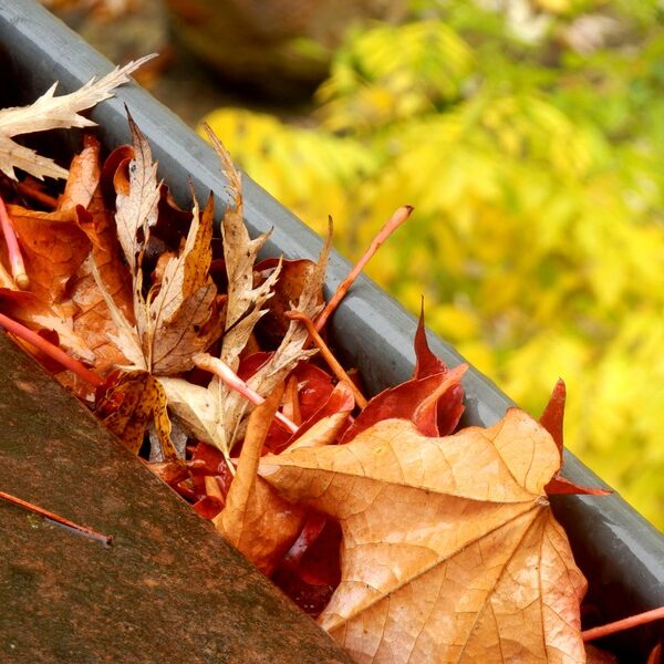 What Are The Signs of Leaking Gutters