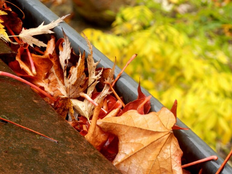 What Are The Signs of Leaking Gutters